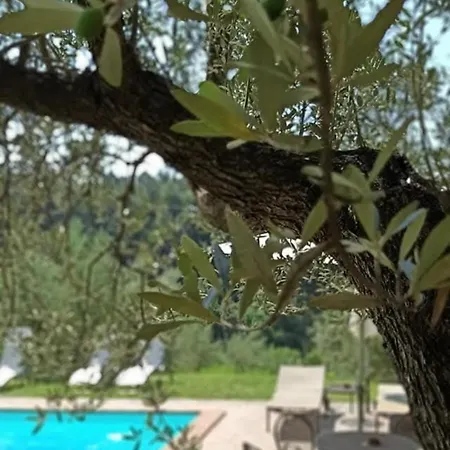Casale Favilluta * Assisi