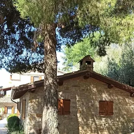 Casale Favilluta *